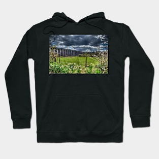 Digswell Viaduct Hoodie